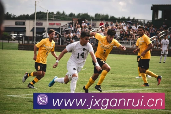 App Interface Preview