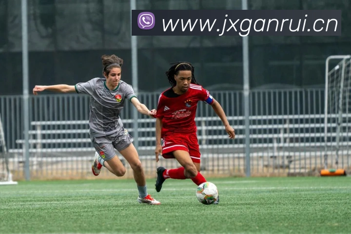 数据防护可视化